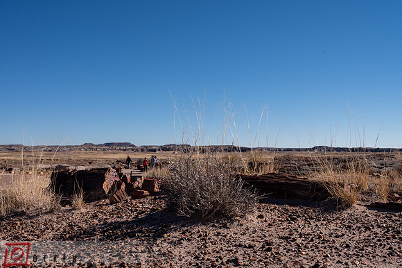 264 2021 Grand Canyon