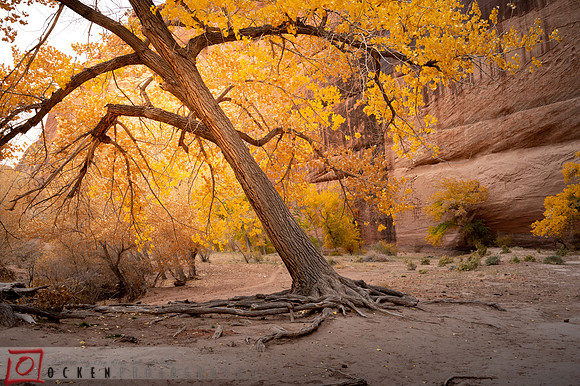 089 2021 Grand Canyon