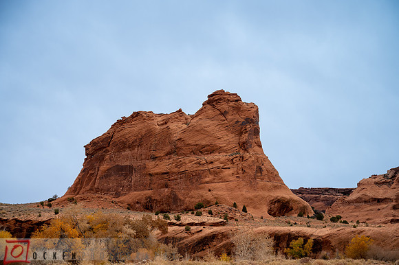 106 2021 Grand Canyon