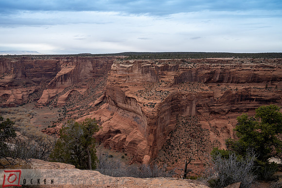 110 2021 Grand Canyon