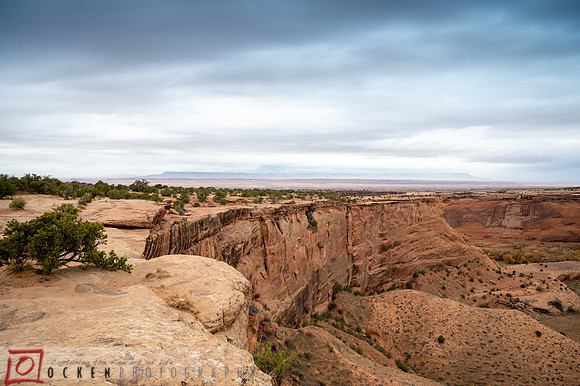 122 2021 Grand Canyon