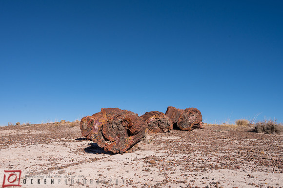 266 2021 Grand Canyon
