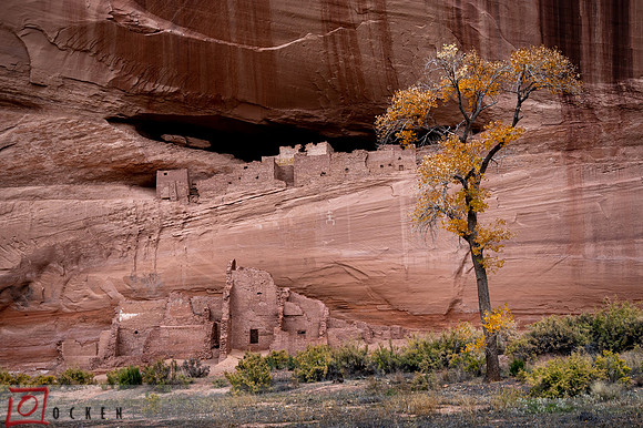 081 2021 Grand Canyon