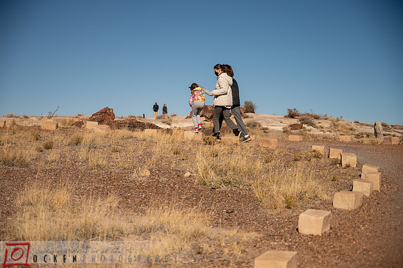 224 2021 Grand Canyon