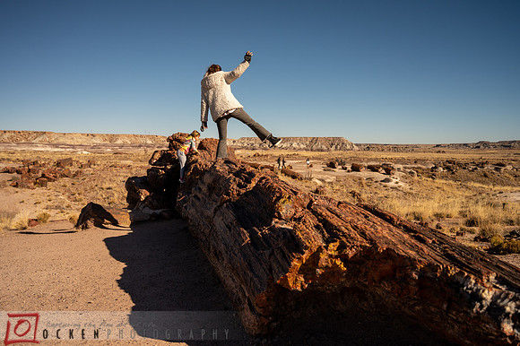 232 2021 Grand Canyon