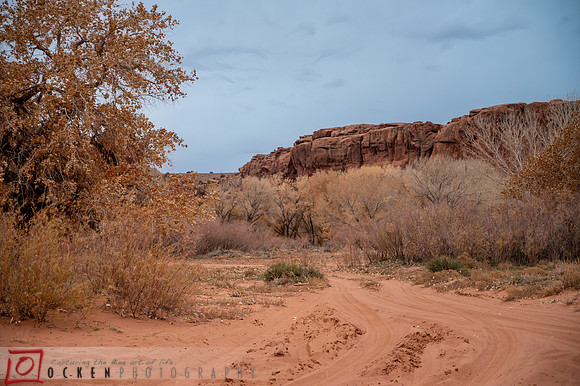 063 2021 Grand Canyon