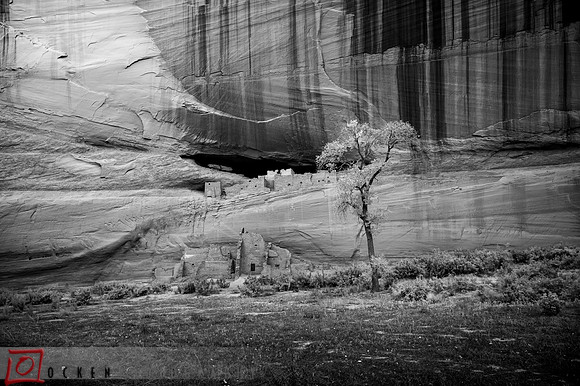 082 2021 Grand Canyon-2