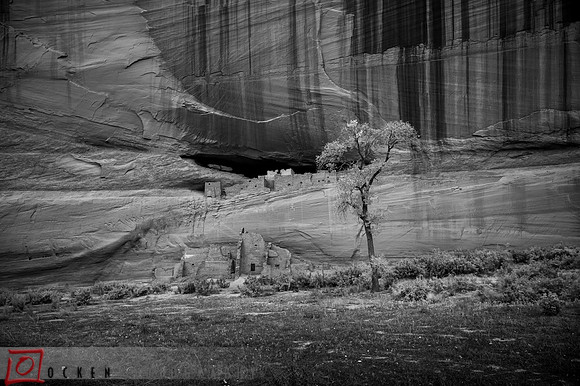082 2021 Grand Canyon-3