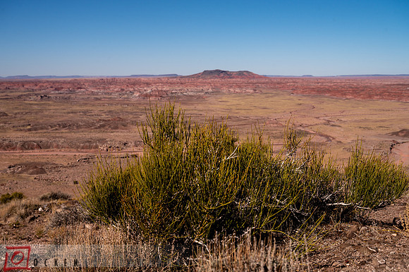 276 2021 Grand Canyon