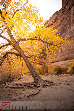 087 2021 Grand Canyon