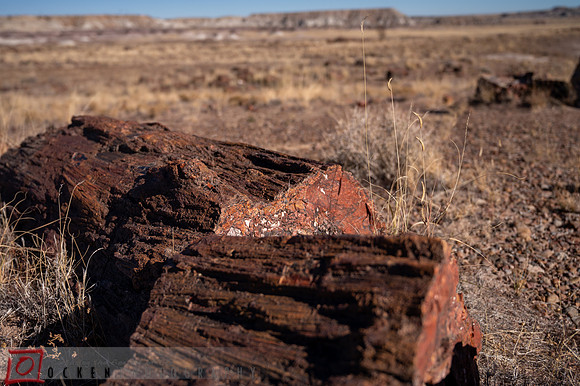 260 2021 Grand Canyon
