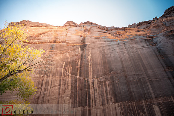 100 2021 Grand Canyon