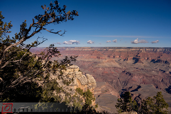 154 2021 Grand Canyon