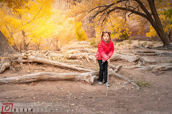 099 2021 Grand Canyon