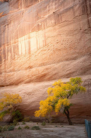 085 2021 Grand Canyon