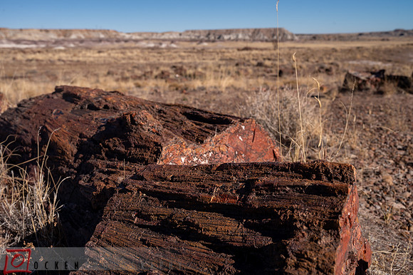 262 2021 Grand Canyon