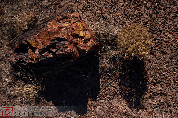 258 2021 Grand Canyon