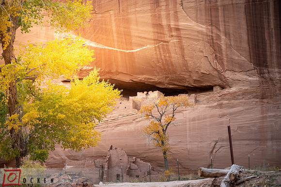 102 2021 Grand Canyon