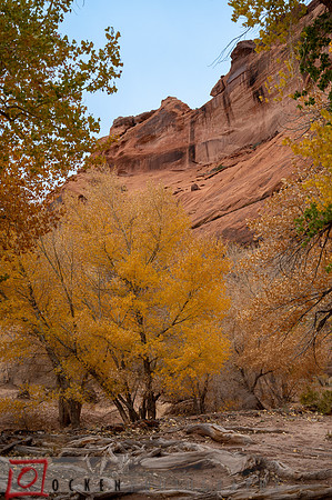 079 2021 Grand Canyon