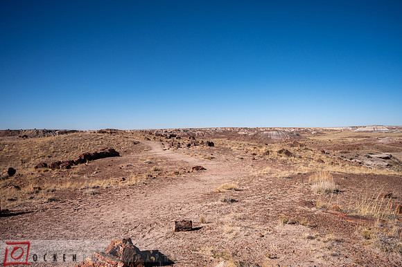 246 2021 Grand Canyon