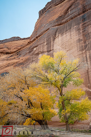076 2021 Grand Canyon