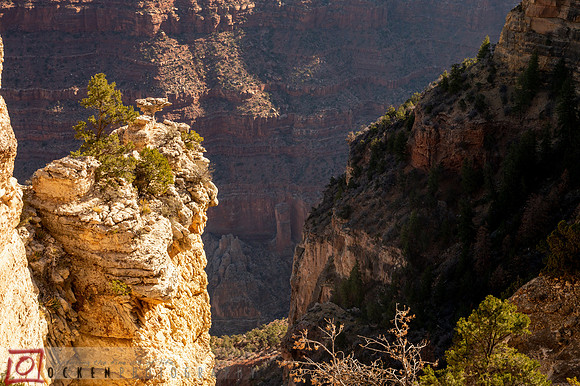 137 2021 Grand Canyon