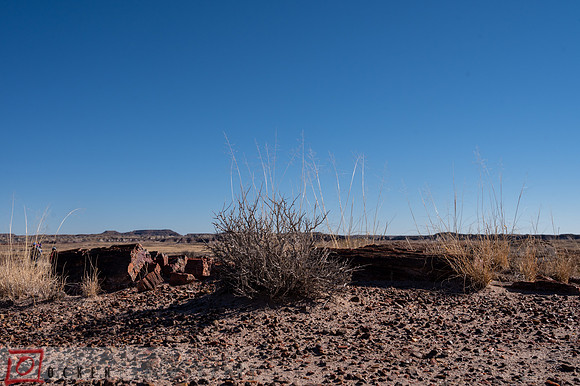 265 2021 Grand Canyon