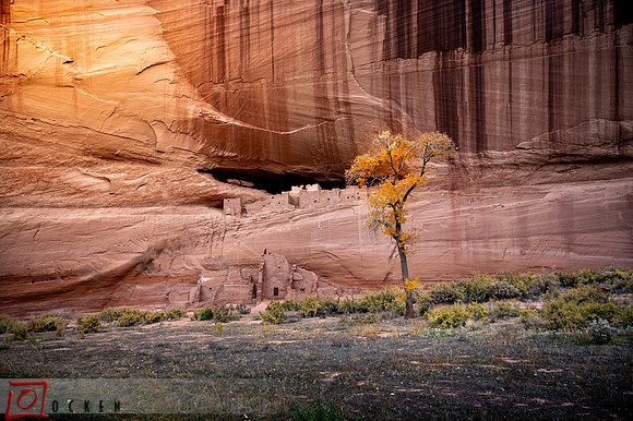 082 2021 Grand Canyon