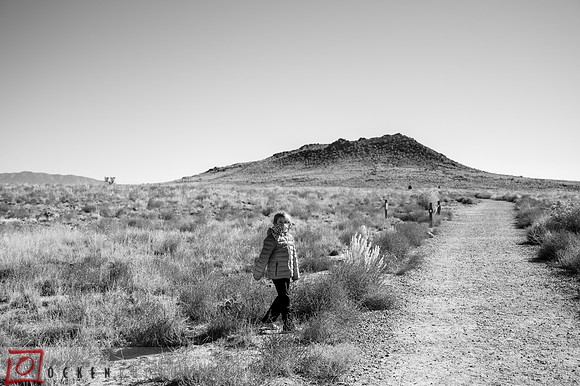 299 2021 Grand Canyon