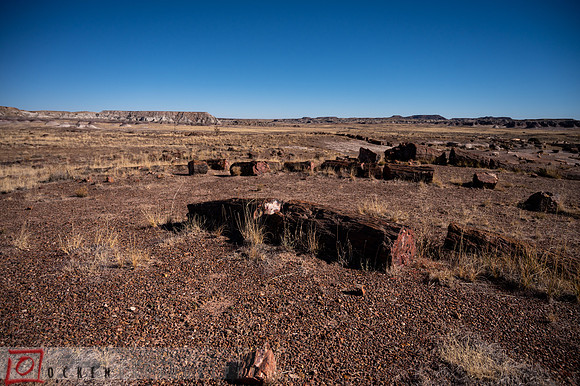 257 2021 Grand Canyon