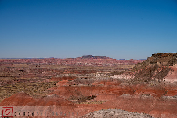 271 2021 Grand Canyon