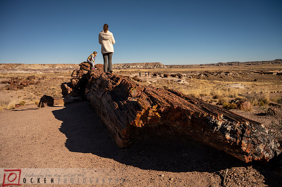 233 2021 Grand Canyon