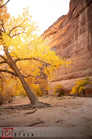 088 2021 Grand Canyon