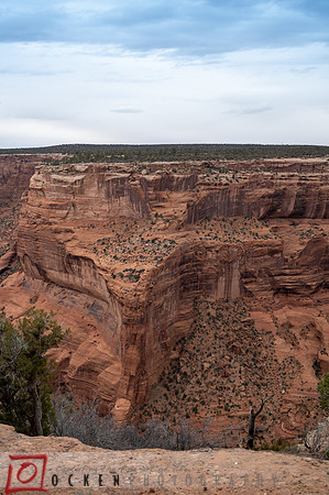 111 2021 Grand Canyon