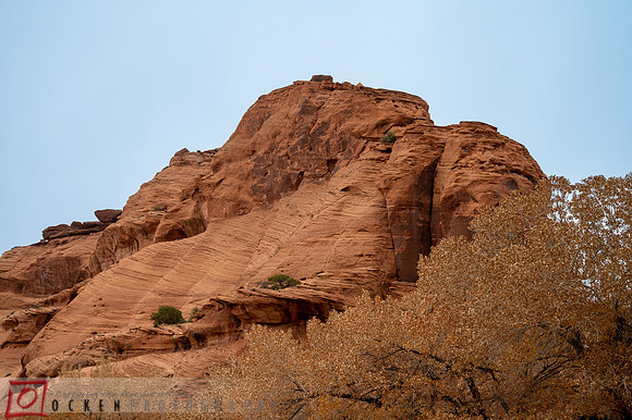 107 2021 Grand Canyon