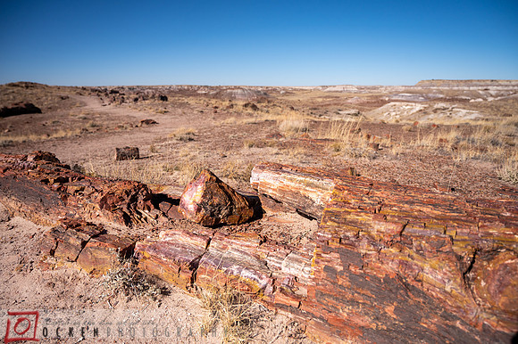 245 2021 Grand Canyon