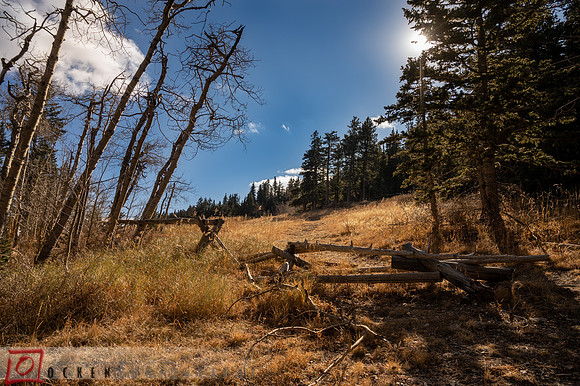 038 2021 Grand Canyon