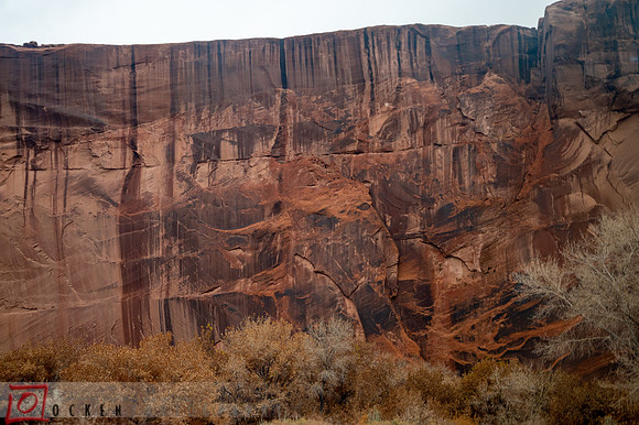 109 2021 Grand Canyon