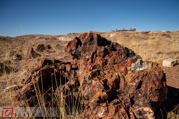 223 2021 Grand Canyon