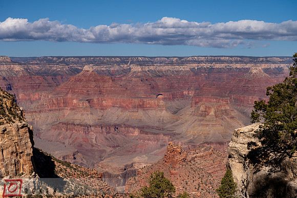 185 2021 Grand Canyon