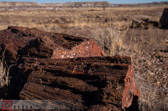 261 2021 Grand Canyon