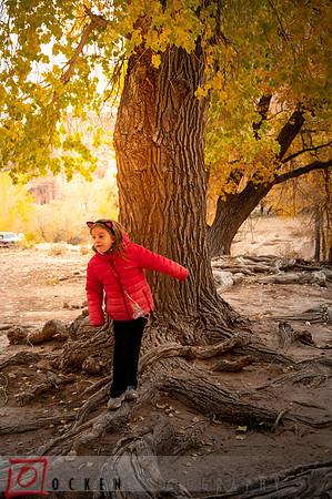 090 2021 Grand Canyon