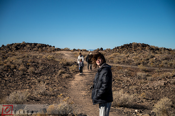 310 2021 Grand Canyon