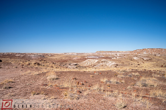 247 2021 Grand Canyon