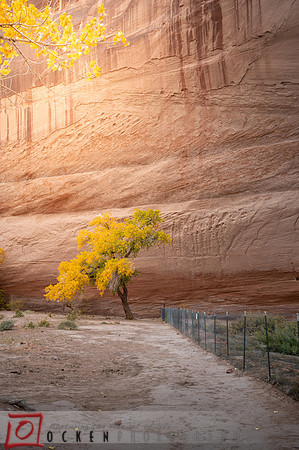 084 2021 Grand Canyon