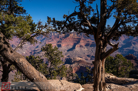 165 2021 Grand Canyon
