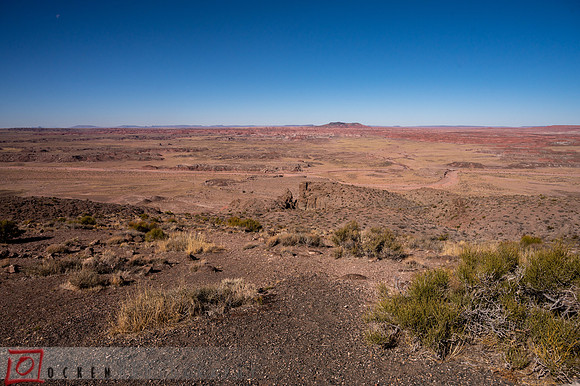 281 2021 Grand Canyon