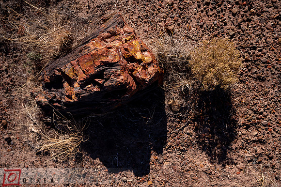 259 2021 Grand Canyon