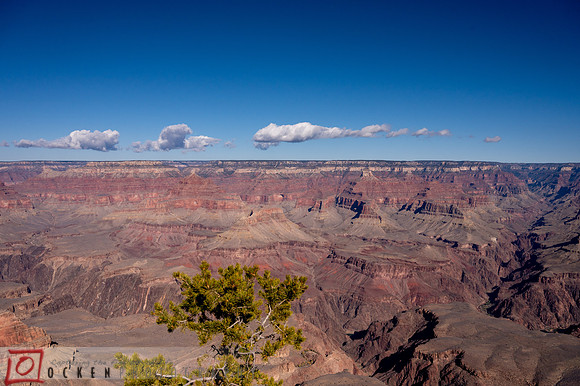 173 2021 Grand Canyon