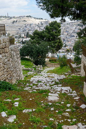 303 Church of Saint Peter in Gallicantu